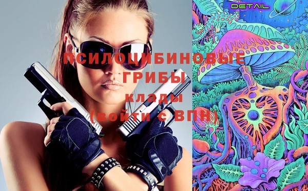 таблы Дмитровск