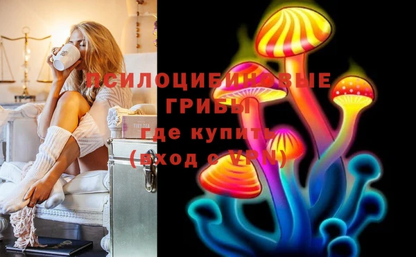 таблы Дмитровск