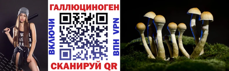 Галлюциногенные грибы ЛСД  Купить закладки  Чекалин 